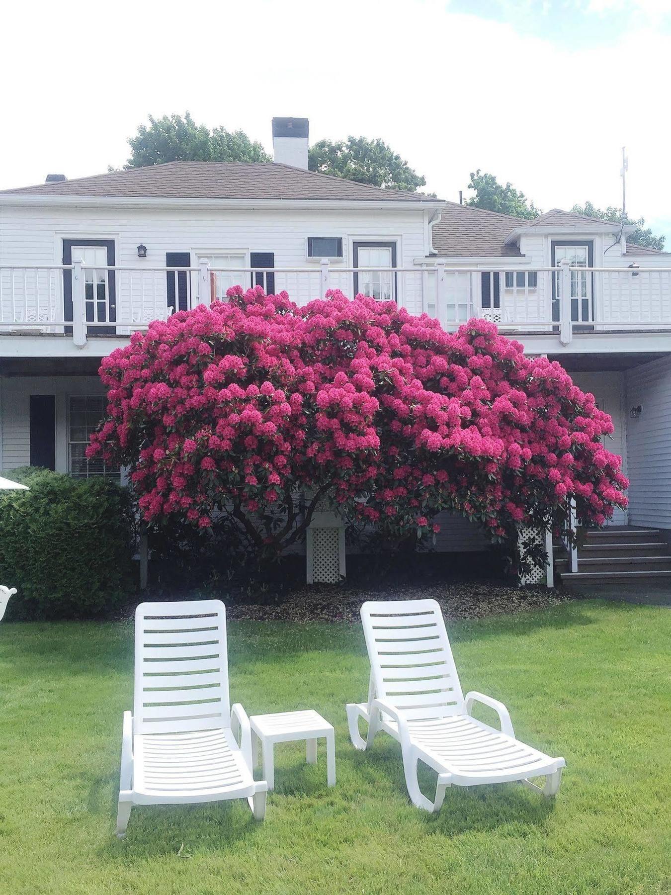 Shoreway Acres Inn Falmouth Exteriör bild